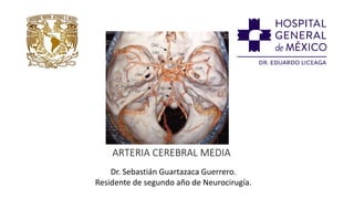 Dr. Sebastián Guartazaca Guerrero.
Residente de segundo año de Neurocirugía.
ARTERIA CEREBRAL MEDIA
 