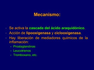 Mecanismo: <ul><li>Se activa la  cascada del ácido araquidónico . </li></ul><ul><li>Acción de  lipooxigenasa  y  ciclooxig...