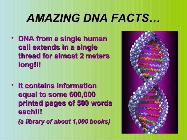 Dna Fact File 20 Dna Facts Fun Facts About Dna