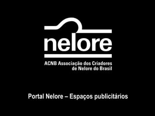 Portal Nelore – Espaços publicitários
 