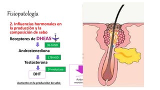 Fisiopatología
2. Influencias hormonales en
la producción y la
composición de sebo
Receptores de DHEAS
Androstenediona
Testosterona
DHT
DHEAS
3b-hHSD
17B-HSD
5ª-reductasa
Aumento en la producción de sebo
Ácido
linoleico
Ácidos grasos
monoinsaturados
 