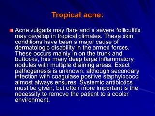 Tropical acne:
Acne vulgaris may flare and a severe folliculitis
may develop in tropical climates. These skin
conditions have been a major cause of
dermatologic disability in the armed forces.
These occurs mainly in on the trunk and
buttocks, has many deep large inflammatory
nodules with multiple draining areas. Exact
pathogenesis is unknown, although secondary
infection with coagulase positive staphylococci
almost always ensures. Systemic antibiotics
must be given, but often more important is the
necessity to remove the patient to a cooler
environment.
 