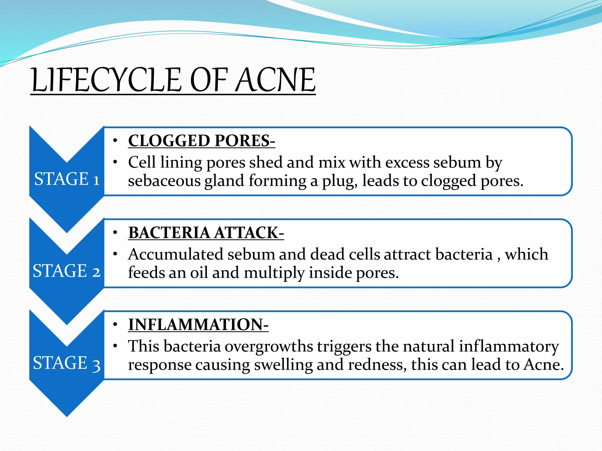 LIFECYCLE OF ACNE
STAGE 1
• CLOGGED PORES-
• Cell lining pores shed and mix with excess sebum by
sebaceous gland forming a plug, leads to clogged pores.
STAGE 2
• BACTERIA ATTACK-
• Accumulated sebum and dead cells attract bacteria , which
feeds an oil and multiply inside pores.
STAGE 3
• INFLAMMATION-
• This bacteria overgrowths triggers the natural inflammatory
response causing swelling and redness, this can lead to Acne.
 