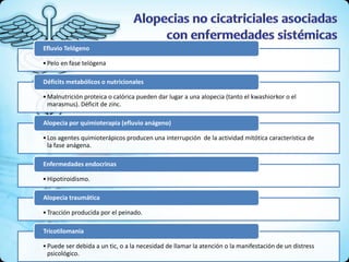 •Pelo en fase telógena
Efluvio Telógeno
•Malnutrición proteica o calórica pueden dar lugar a una alopecia (tanto el kwashiorkor o el
marasmus). Déficit de zinc.
Déficits metabólicos o nutricionales
•Los agentes quimioterápicos producen una interrupción de la actividad mitótica característica de
la fase anágena.
Alopecia por quimioterapia (efluvio anágeno)
•Hipotiroidismo.
Enfermedades endocrinas
•Tracción producida por el peinado.
Alopecia traumática
•Puede ser debida a un tic, o a la necesidad de llamar la atención o la manifestación de un distress
psicológico.
Tricotilomania
 