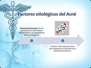 Factores hormonales: En los
pacientes con acné existen
alteraciones en el metabolismo
de los andrógenos
enzima 5-alfa reductasa tipo I
que metaboliza la testosterona a
dehidrotestosterona.
 