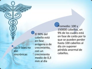 Las 3 fases no
son
sincrónicas
El 90% del
cabello está
en fase
anágena o de
crecimiento,
con un
crecimiento
medio de 0,3
mm al día
Promedio: 100 y
150000 cabellos, un
9% de los cuales está
en fase de caída por lo
que se pueden perder
hasta 100 cabellos al
día sin suponer
pérdida anormal de
cabellos.
 