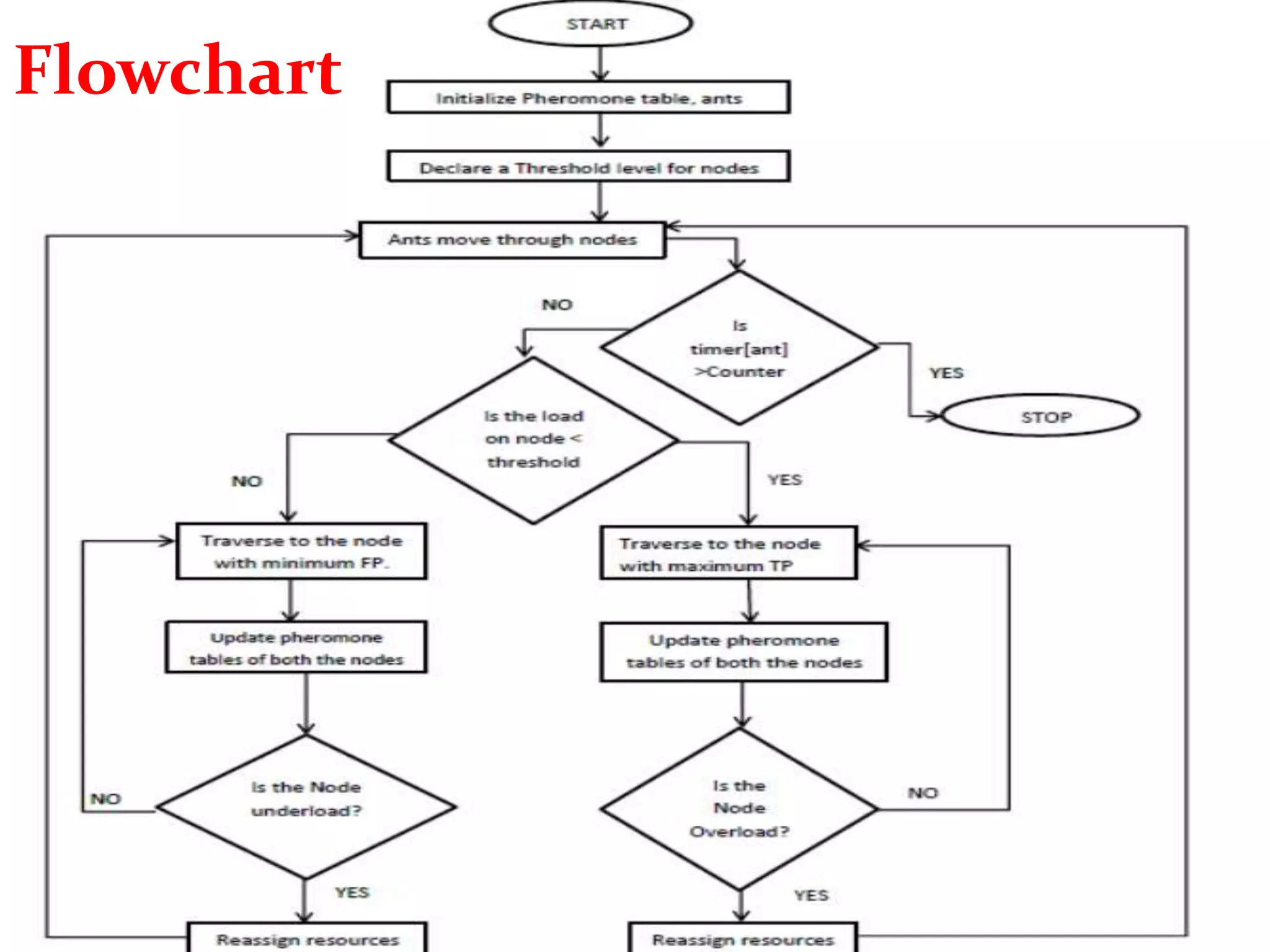 Flowchart
FP:Foraging Pheromones
TP:Trailing Pheromones
Flowchart
 