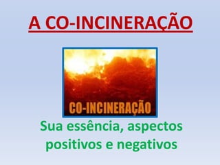A CO-INCINERAÇÃOSua essência, aspectos positivos e negativos