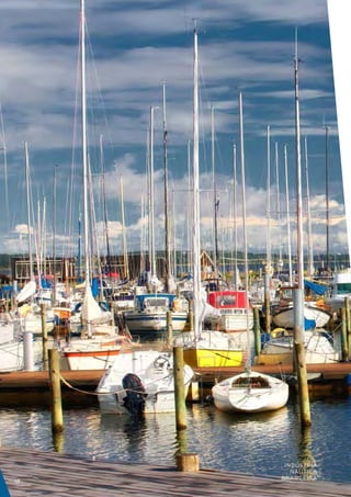 INDÚSTRIA
        NÁUTICA
     BRASILEIRA
18
 