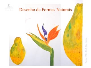 Desenho de Formas Naturais




Turma 10ºG - Prof: Rita Estima
 
