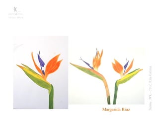 Margarida Braz




   Turma 10ºG - Prof: Rita Estima
 