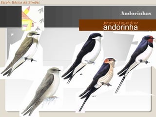 Andorinhas
 