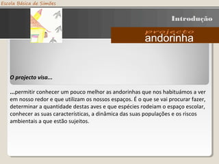 O projecto visa...
...permitir conhecer um pouco melhor as andorinhas que nos habituámos a ver
em nosso redor e que utilizam os nossos espaços. É o que se vai procurar fazer,
determinar a quantidade destas aves e que espécies rodeiam o espaço escolar,
conhecer as suas características, a dinâmica das suas populações e os riscos
ambientais a que estão sujeitos.
Introdução
 