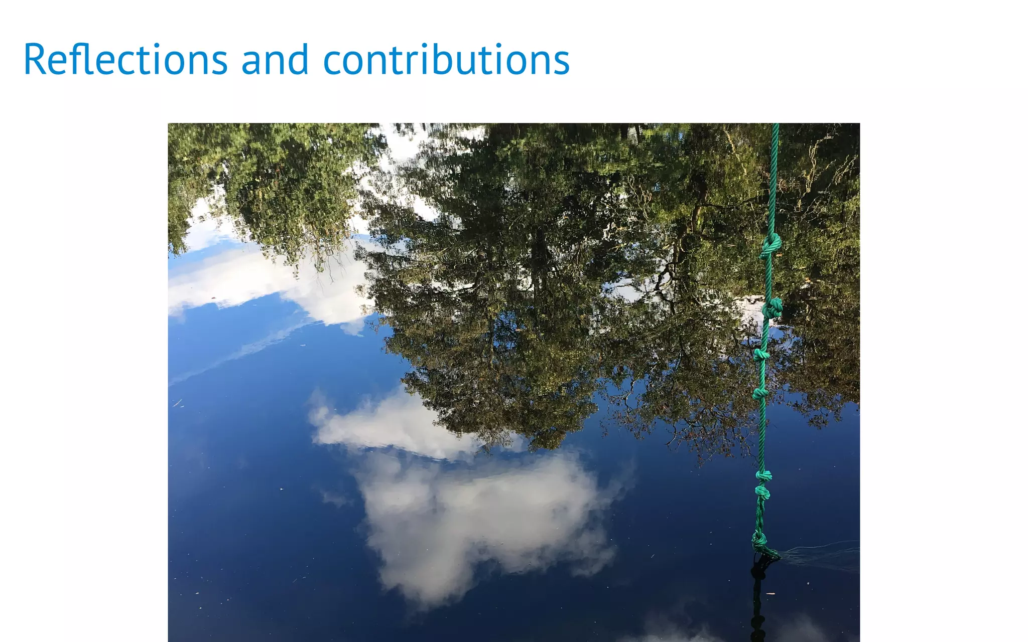 Reﬂections and contributions
 