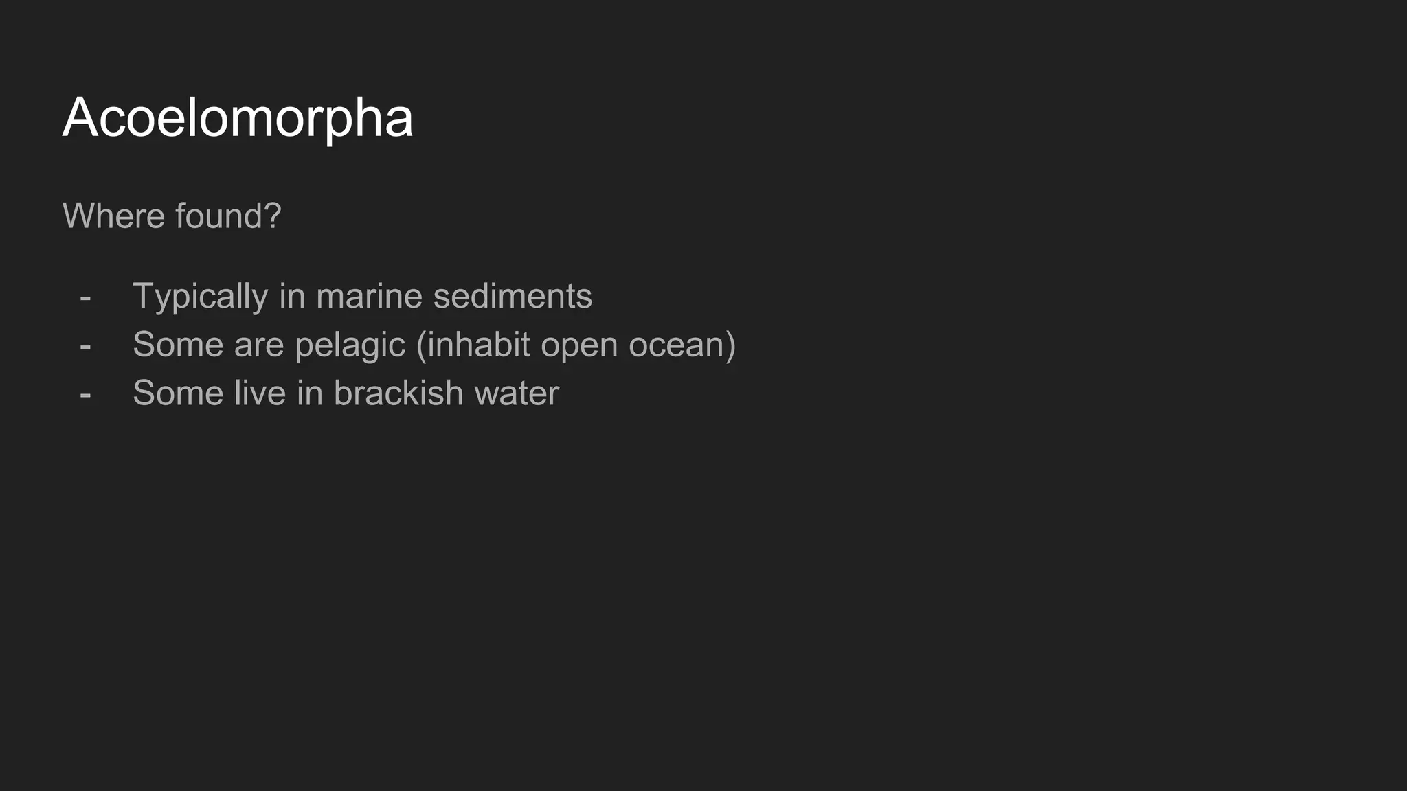 Acoelomorpha
Where found?
- Typically in marine sediments
- Some are pelagic (inhabit open ocean)
- Some live in brackish water
 