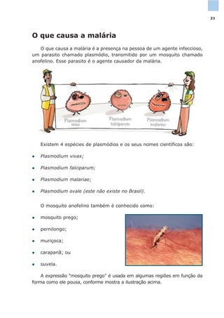 O mosquito anofelino também é conhecido como:
l mosquito prego;
l pernilongo;
l muriçoca;
l carapanã; ou
l suvela.
A expressão “mosquito prego” é usada em algumas regiões em função da
forma como ele pousa, conforme mostra a ilustração acima.
Existem 4 espécies de plasmódios e os seus nomes científicos são:
l Plasmodium vivax;
l Plasmodium falciparum;
l Plasmodium malariae;
l Plasmodium ovale (este não existe no Brasil).
O que causa a malária
O que causa a malária é a presença na pessoa de um agente infeccioso,
um parasito chamado plasmódio, transmitido por um mosquito chamado
anofelino. Esse parasito é o agente causador da malária.
21
 