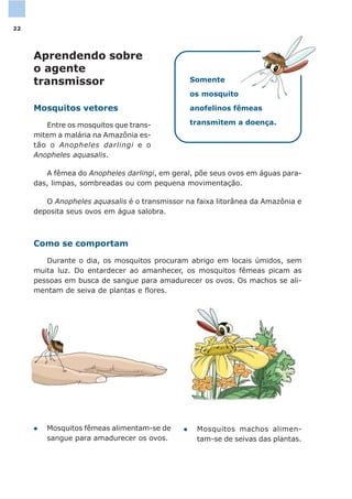 Aprendendo sobre
o agente
transmissor
Mosquitos vetores
Entre os mosquitos que trans-
mitem a malária na Amazônia es-
tão o Anopheles darlingi e o
Anopheles aquasalis.
A fêmea do Anopheles darlingi, em geral, põe seus ovos em águas para-
das, limpas, sombreadas ou com pequena movimentação.
O Anopheles aquasalis é o transmissor na faixa litorânea da Amazônia e
deposita seus ovos em água salobra.
Como se comportam
Durante o dia, os mosquitos procuram abrigo em locais úmidos, sem
muita luz. Do entardecer ao amanhecer, os mosquitos fêmeas picam as
pessoas em busca de sangue para amadurecer os ovos. Os machos se ali-
mentam de seiva de plantas e flores.
l Mosquitos fêmeas alimentam-se de
sangue para amadurecer os ovos.
l Mosquitos machos alimen-
tam-se de seivas das plantas.
Somente
os mosquitos
anofelinos fêmeas
transmitem a doença.
22
 