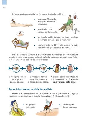 l contaminação do filho pelo sangue da mãe
com malária, por ocasião do parto.
Como interromper o ciclo da malária
Primeiro, é necessário estar consciente de que o plasmódio é o agente
causador e o mosquito é o agente transmissor. O plasmódio está:
l no mosquito
fêmea infectado
l na pessoa
infectada
Dessas, a mais comum é a transmissão da doença de uma pessoa
infectada para uma pessoa sadia através da picada do mosquito anofelino
fêmea. Observe a cadeia de transmissão:
Existem várias modalidades de transmissão da malária:
l picada da fêmea do
mosquito anofelino
infectado;
l transfusão com
sangue contaminado;
l perfuração acidental com estiletes, agulhas
e seringas com sangue contaminado;
O mosquito fêmea
sadio pica a
pessoa doente.
O mosquito fêmea
sadio fica infectado
e pica a pessoa sadia.
A pessoa sadia fica infectada
e o ciclo continua. É preciso
interromper este ciclo!
26
 