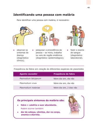 l fazer o exame
de sangue
(diagnóstico
laboratorial).
l pesquisar a procedência da
pessoa – se mora, trabalha
ou veio de região endêmica
(diagnóstico epidemiológico);
l observar os
sintomas da
doença
(diagnóstico
clínico);
Identificando uma pessoa com malária
Para identificar uma pessoa com malária, é necessário:
Os principais sintomas da malária são:
l febre + calafrio e suor abundante.
Podem ocorrer também:
l dor de cabeça, vômitos, dor no corpo,
anemia e diarréia.
43
 