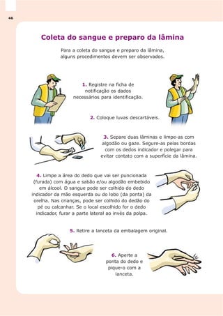 Coleta do sangue e preparo da lâmina
Para a coleta do sangue e preparo da lâmina,
alguns procedimentos devem ser observados.
1. Registre na ficha de
notificação os dados
necessários para identificação.
6. Aperte a
ponta do dedo e
pique-o com a
lanceta.
5. Retire a lanceta da embalagem original.
4. Limpe a área do dedo que vai ser puncionada
(furada) com água e sabão e/ou algodão embebido
em álcool. O sangue pode ser colhido do dedo
indicador da mão esquerda ou do lobo (da ponta) da
orelha. Nas crianças, pode ser colhido do dedão do
pé ou calcanhar. Se o local escolhido for o dedo
indicador, furar a parte lateral ao invés da polpa.
3. Separe duas lâminas e limpe-as com
algodão ou gaze. Segure-as pelas bordas
com os dedos indicador e polegar para
evitar contato com a superfície da lâmina.
2. Coloque luvas descartáveis.
46
 