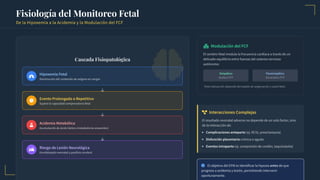 acog_fetal_heart_monitoring_20260216172817.pdf