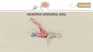 MEMÓRIA SENSORIAL (MS)
 