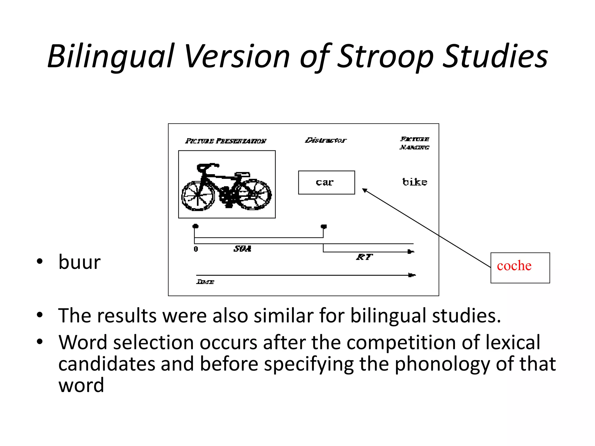 Bilingual Version of Stroop Studies
coche• buur
• The results were also similar for bilingual studies.
• Word selection occurs after the competition of lexical
candidates and before specifying the phonology of that
word
 
