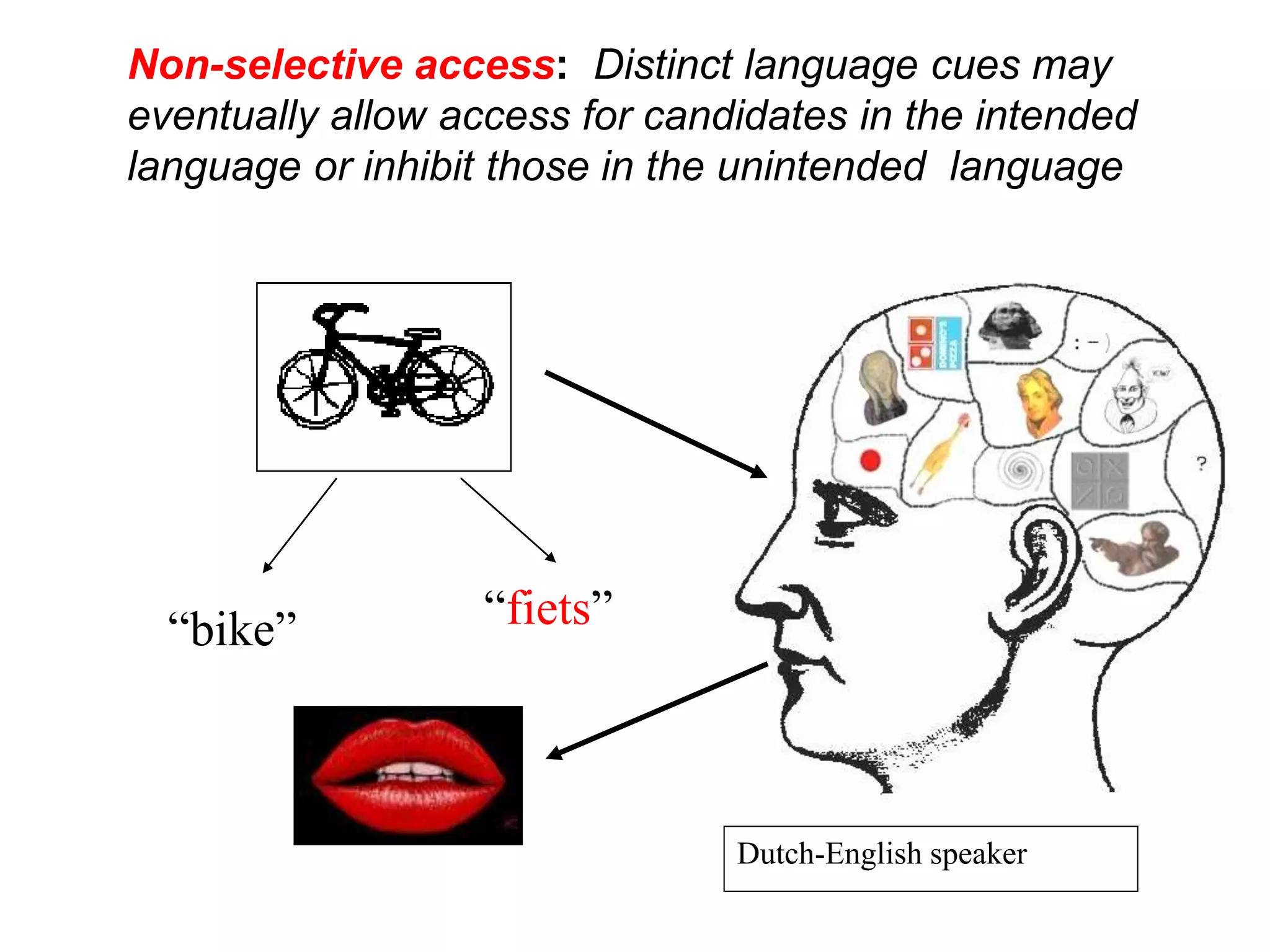 “bike” “fiets”
Dutch-English speaker
Non-selective access: Distinct language cues may
eventually allow access for candidates in the intended
language or inhibit those in the unintended language
 