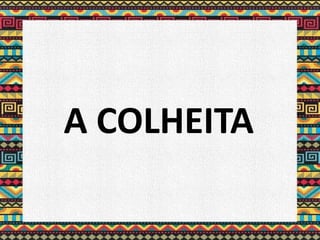 A COLHEITA
 