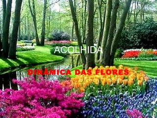 ACOLHIDA

DINÂMICA DAS FLORES
 