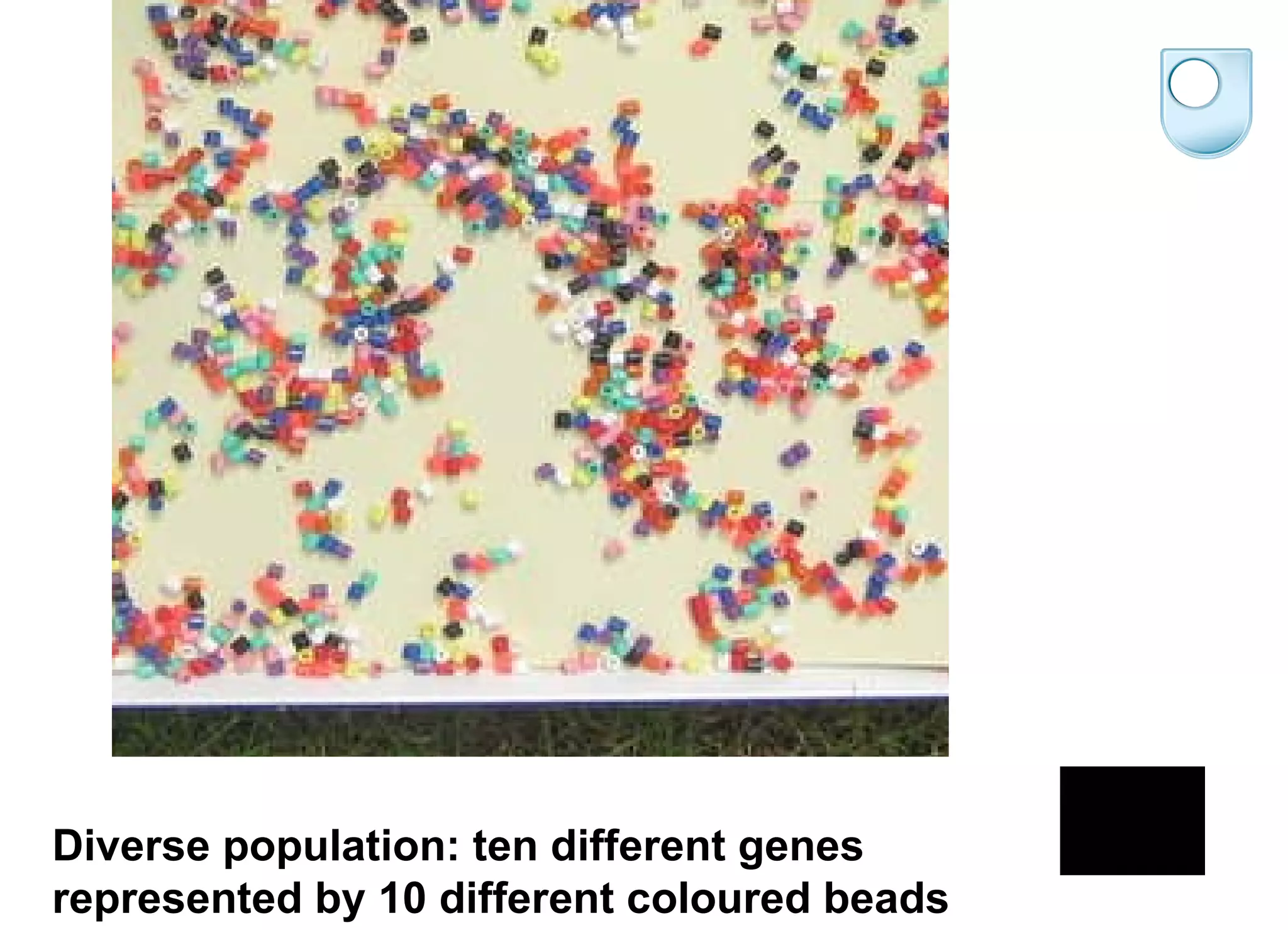 Diverse population: ten different genes represented by 10 different coloured beads 