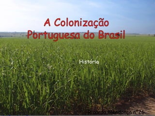 A colonização portuguesa do Brasil
História
Ricardo Mendonça nº26
 