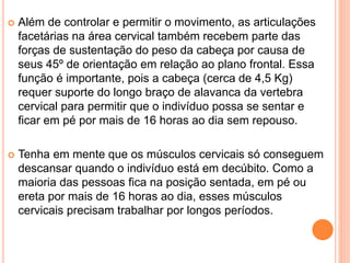  Além de controlar e permitir o movimento, as articulações
facetárias na área cervical também recebem parte das
forças de sustentação do peso da cabeça por causa de
seus 45º de orientação em relação ao plano frontal. Essa
função é importante, pois a cabeça (cerca de 4,5 Kg)
requer suporte do longo braço de alavanca da vertebra
cervical para permitir que o indivíduo possa se sentar e
ficar em pé por mais de 16 horas ao dia sem repouso.
 Tenha em mente que os músculos cervicais só conseguem
descansar quando o indivíduo está em decúbito. Como a
maioria das pessoas fica na posição sentada, em pé ou
ereta por mais de 16 horas ao dia, esses músculos
cervicais precisam trabalhar por longos períodos.
 