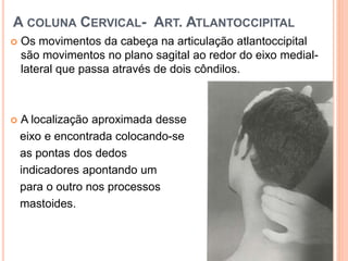 A COLUNA CERVICAL- ART. ATLANTOCCIPITAL
 Os movimentos da cabeça na articulação atlantoccipital
são movimentos no plano sagital ao redor do eixo medial-
lateral que passa através de dois côndilos.
 A localização aproximada desse
eixo e encontrada colocando-se
as pontas dos dedos
indicadores apontando um
para o outro nos processos
mastoides.
 