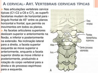A CERVICAL- ART. VERTEBRAIS CERVICAIS TÍPICAS
 Nas articulações vertebrais cervicais
típicas (C1-C2 a C6 e C7), as superfícies
facetarias mudam de horizontal para um
ângulo frontal de 45° entre os planos
horizontal e frontal, que permite os
movimentos em todos os planos.
 As facetas articulares superiores
deslizam superior e anteriormente na
flexão, e inferior e posteriormente
na extensão. Na inclinação lateral
para a direita, a faceta superior
esquerda se move superior e
anteriormente, enquanto a faceta
superior direita se move inferior e
posteriormente, produzindo a
rotação do corpo vertebral para a
direita e do processo espinhoso
para a esquerda.
 