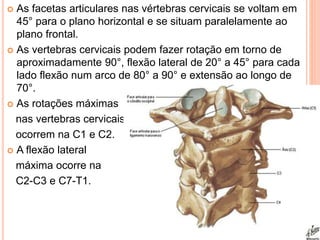  As facetas articulares nas vértebras cervicais se voltam em
45° para o plano horizontal e se situam paralelamente ao
plano frontal.
 As vertebras cervicais podem fazer rotação em torno de
aproximadamente 90°, flexão lateral de 20° a 45° para cada
lado flexão num arco de 80° a 90° e extensão ao longo de
70°.
 As rotações máximas
nas vertebras cervicais
ocorrem na C1 e C2.
 A flexão lateral
máxima ocorre na
C2-C3 e C7-T1.
 