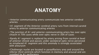 ANATOMY
• Anterior communicating artery communicate two anterior cerebral
arteries
• A1 segment of the Anterior cerebral artery runs from internal carotid
artery to anterior communicating arteries
• The junction of A1 and anterior communicating artery lies over optic
chiasm in 70% cases while over optic nerve in 30% of cases
• Rarely A1 segment is replaced by artery arising from carotid at level
of anterior clinoid and passes under ipsilateral optic nerve perceived
as misplaced A1 segment and this anomaly is strongly associated
with aneurysm
• Cholinergic nuclei are located in paraolfactory area and around the
inferior third ventricle which function in memory and arousal and are
 
