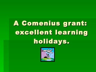 A Comenius grant:  excellent learning holidays. 