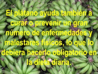 El plátano ayuda también a
  curar o prevenir un gran
 número de enfermedades y
 malestares físicos, lo que lo
debiera hacerlo obligatorio en
        la dieta diaria.
 