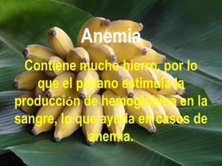 Anemia
  Contiene mucho hierro, por lo
    que el plátano estimula la
producción de hemoglobina en la
sangre, lo que ayuda en casos de
             anemia.
 