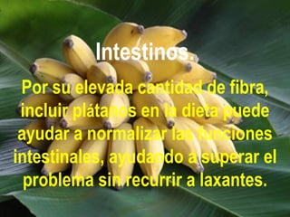 Intestinos.
 Por su elevada cantidad de fibra,
 incluir plátanos en la dieta puede
 ayudar a normalizar las funciones
intestinales, ayudando a superar el
  problema sin recurrir a laxantes.
 