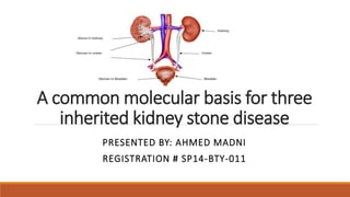 A common molecular basis for three
inherited kidney stone disease
PRESENTED BY: AHMED MADNI
REGISTRATION # SP14-BTY-011
 