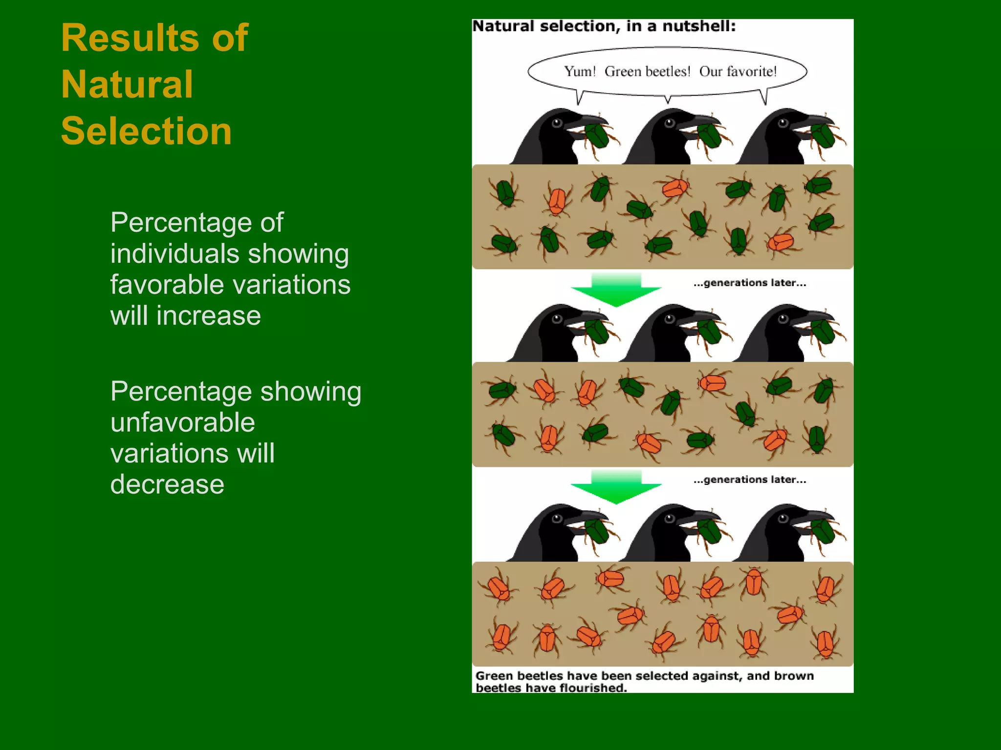 Results of
Natural
Selection
Percentage of
individuals showing
favorable variations
will increase
Percentage showing
unfavorable
variations will
decrease

 