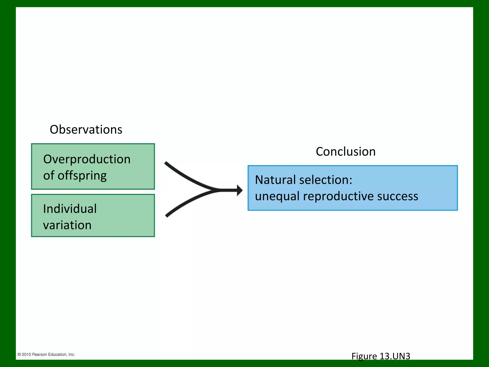 Observations
Overproduction
of offspring
Individual
variation

Conclusion
Natural selection:
unequal reproductive success

Figure 13.UN3

 