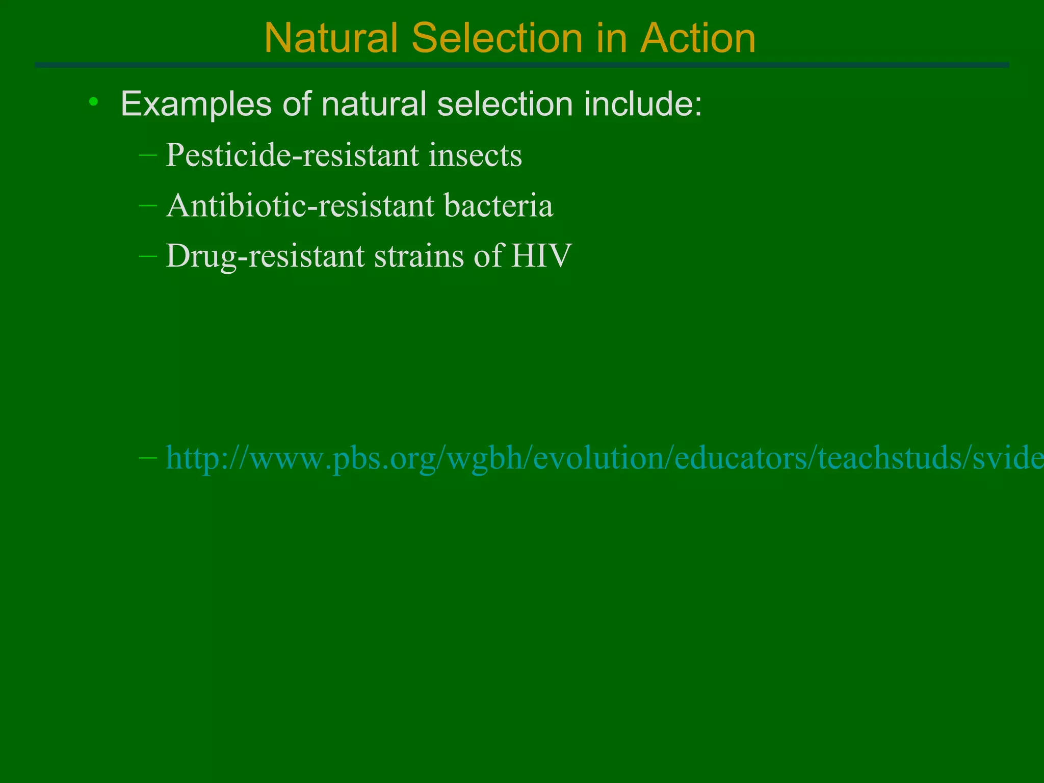Natural Selection in Action
• Examples of natural selection include:
– Pesticide-resistant insects
– Antibiotic-resistant bacteria
– Drug-resistant strains of HIV

– http://www.pbs.org/wgbh/evolution/educators/teachstuds/svide

 