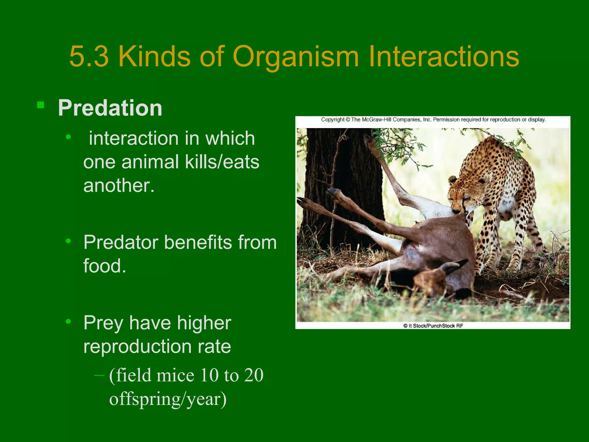 5.3 Kinds of Organism Interactions
 Predation
• interaction in which
one animal kills/eats
another.
• Predator benefits from
food.
• Prey have higher
reproduction rate
– (field mice 10 to 20
offspring/year)

 