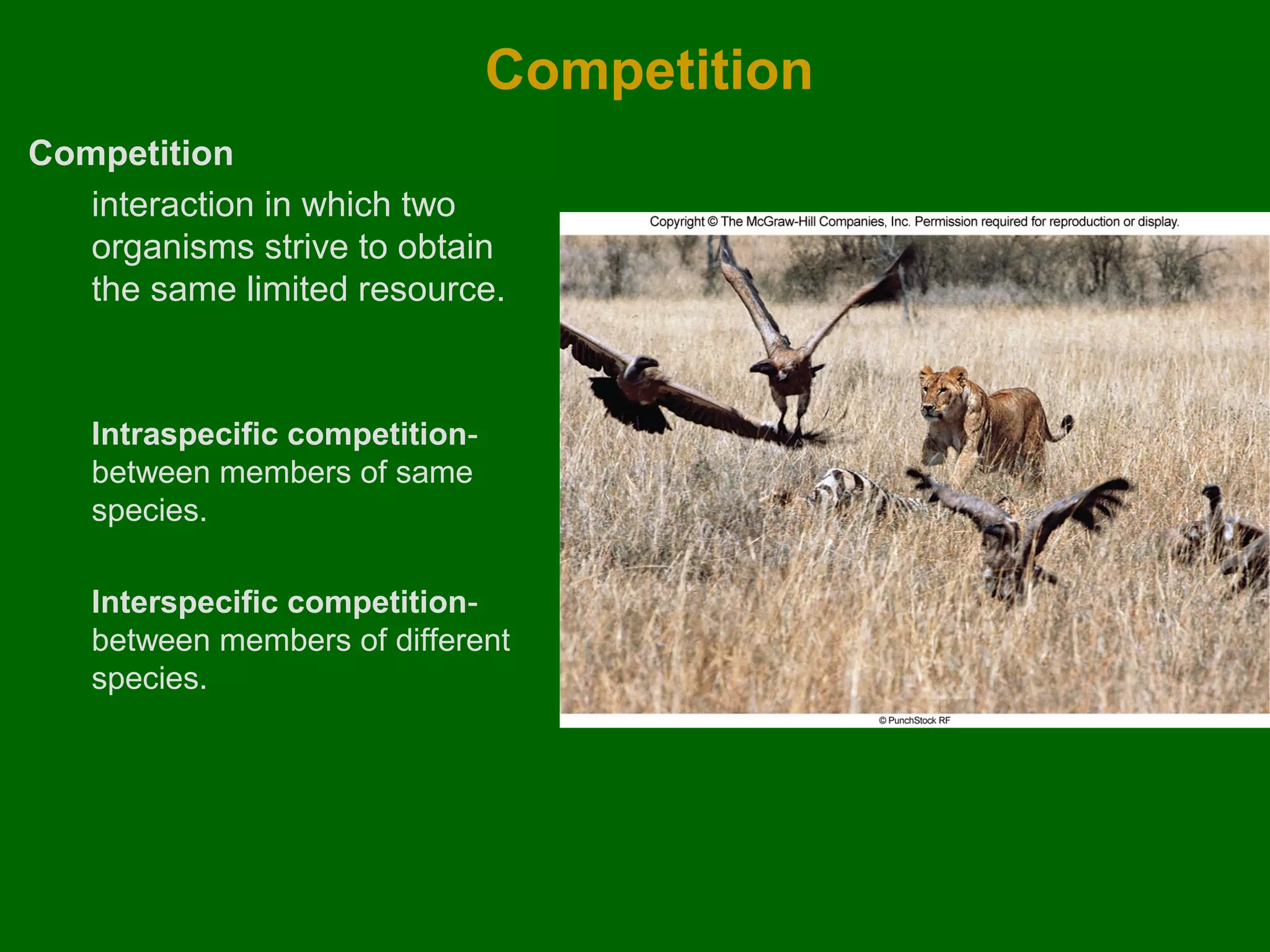 Competition
Competition
interaction in which two
organisms strive to obtain
the same limited resource.

Intraspecific competitionbetween members of same
species.
Interspecific competitionbetween members of different
species.

 
