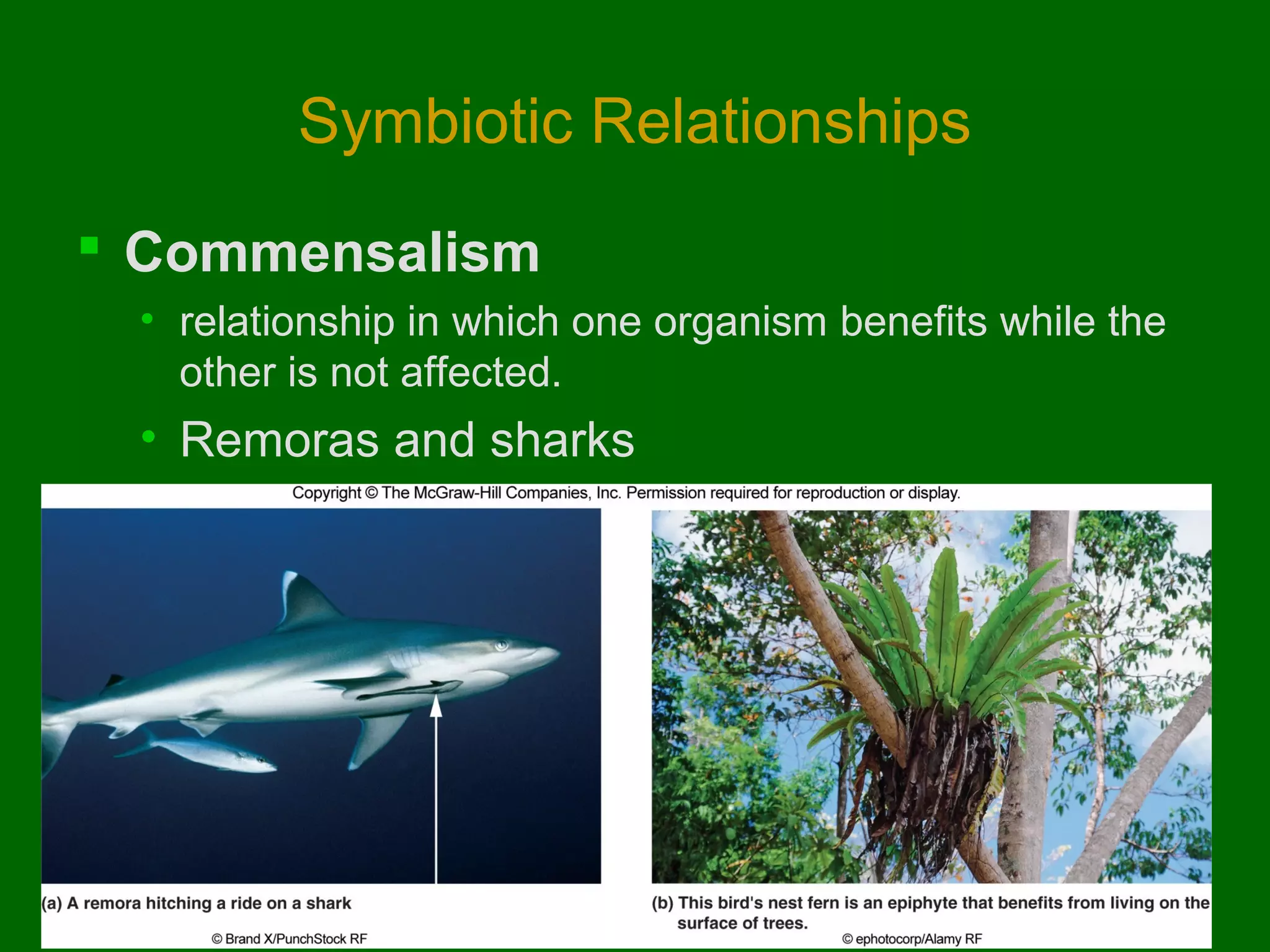 Symbiotic Relationships
 Commensalism
• relationship in which one organism benefits while the
other is not affected.

• Remoras and sharks

 