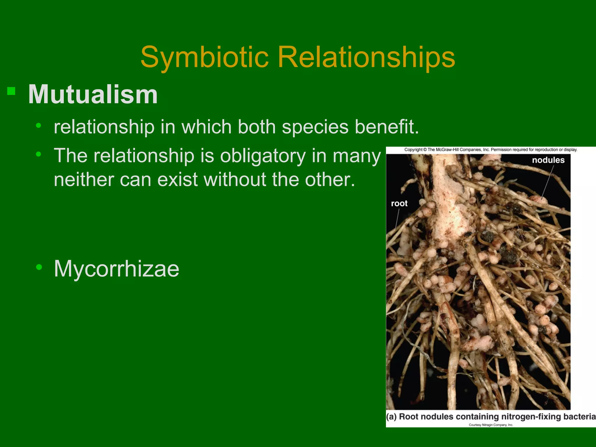 Symbiotic Relationships
 Mutualism
• relationship in which both species benefit.
• The relationship is obligatory in many cases, as
neither can exist without the other.

• Mycorrhizae

 