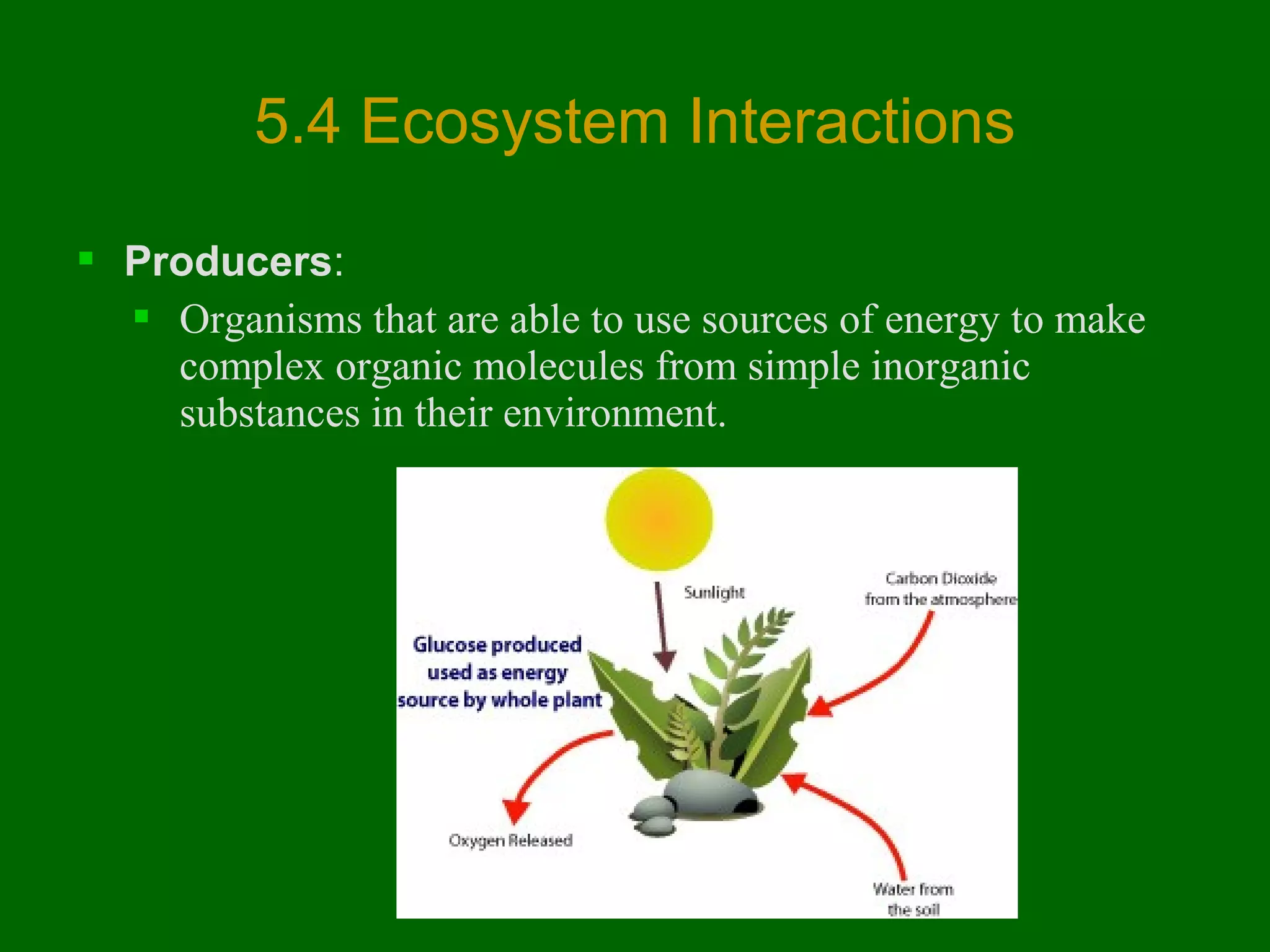 5.4 Ecosystem Interactions
 Producers:
 Organisms that are able to use sources of energy to make
complex organic molecules from simple inorganic
substances in their environment.

 